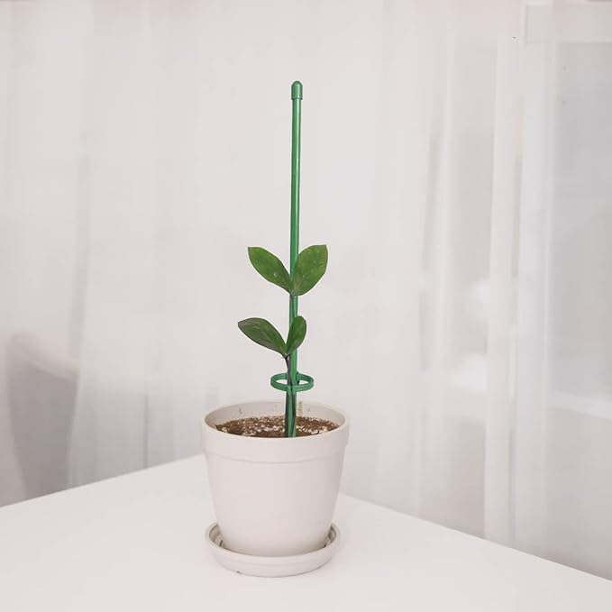 PlantSupport - Podpora Růstu Rostlin