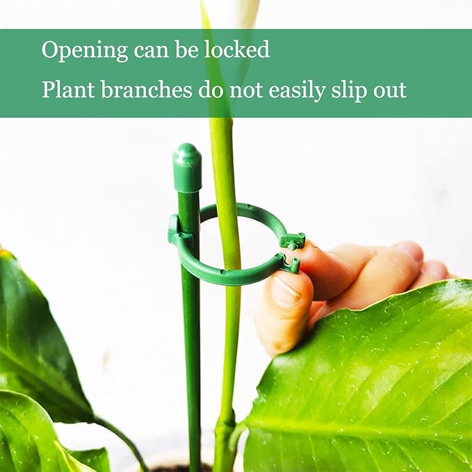 PlantSupport - Podpora Růstu Rostlin