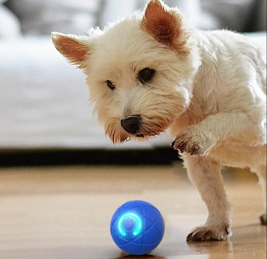 DogCatFri™ Interaktivní Míč: Dobíjecí Interaktivní Hračky pro Domácí Zvířata