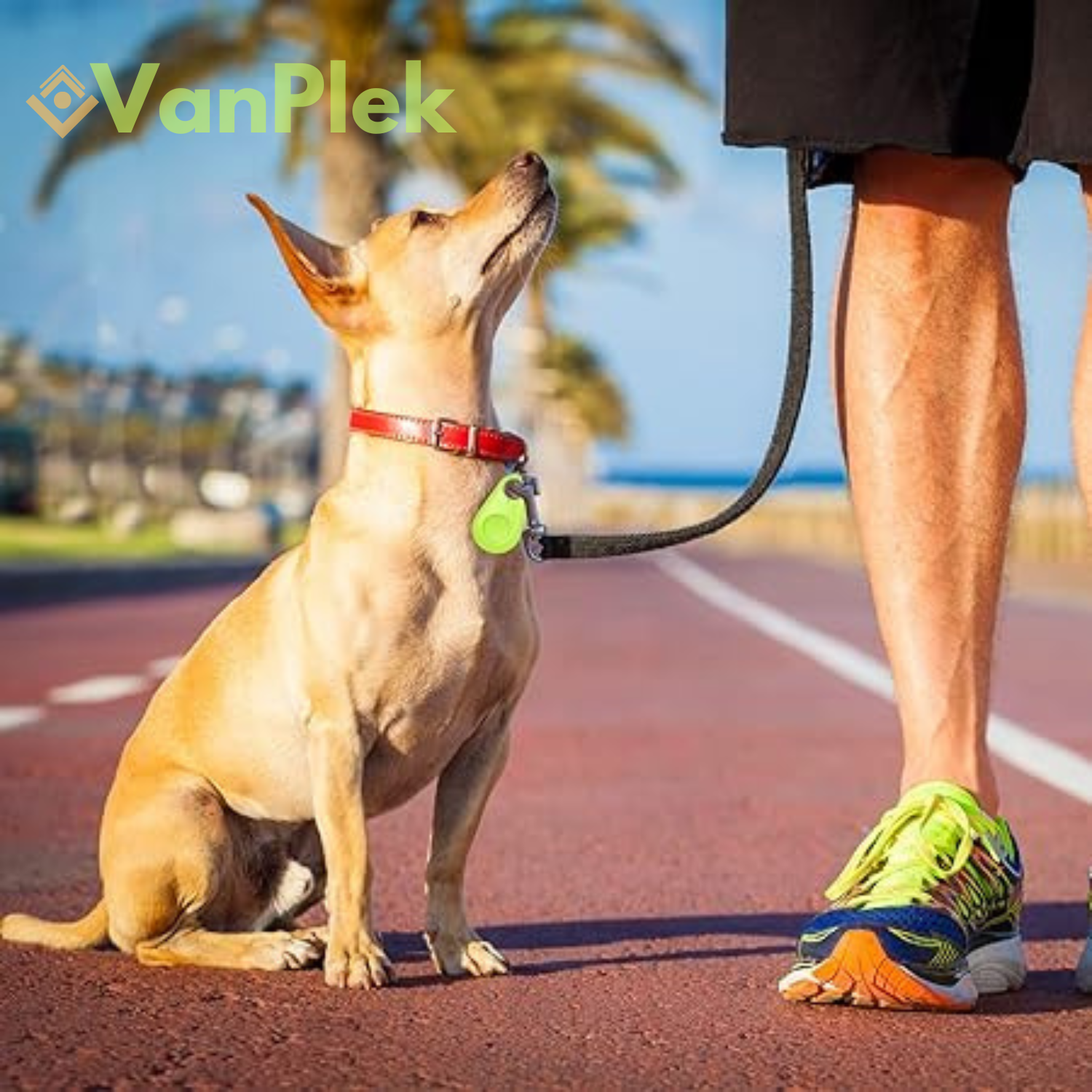 DogCatFri™ PetTracker - Bluetooth Bezdrátový Tracker pro Domácí Zvířata