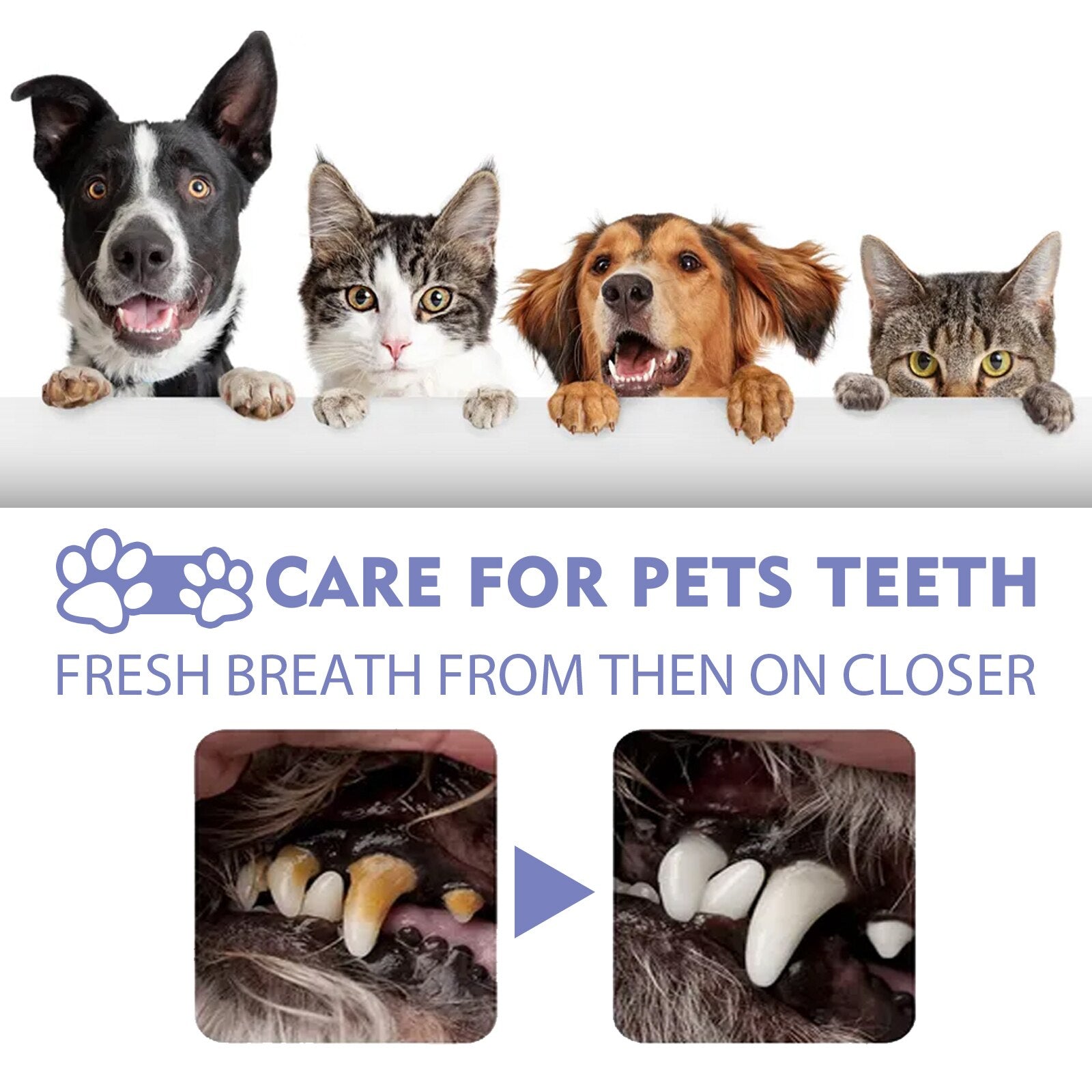 DogCatFri™ PetSpray: Osvěžovač dechu pro domácí mazlíčky