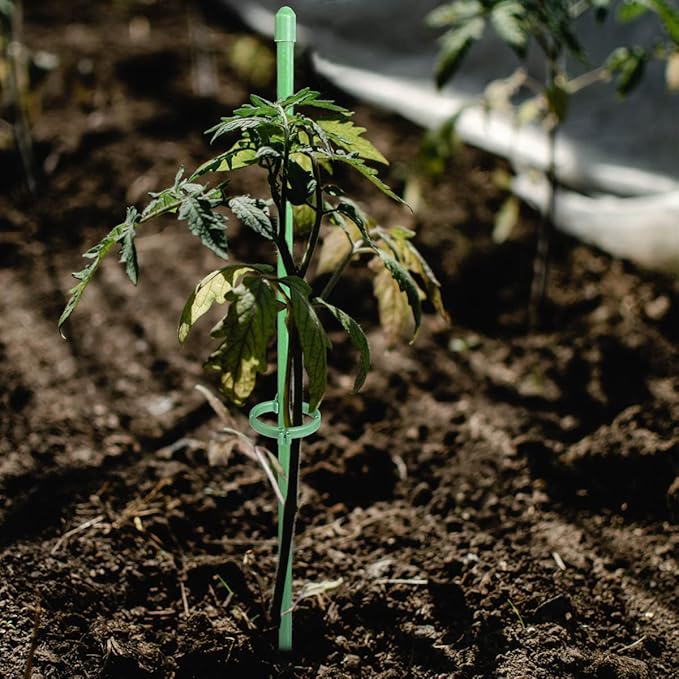 PlantSupport - Podpora Růstu Rostlin