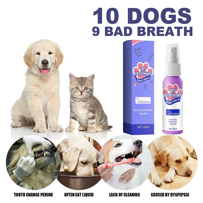 DogCatFri™ PetSpray: Osvěžovač dechu pro domácí mazlíčky