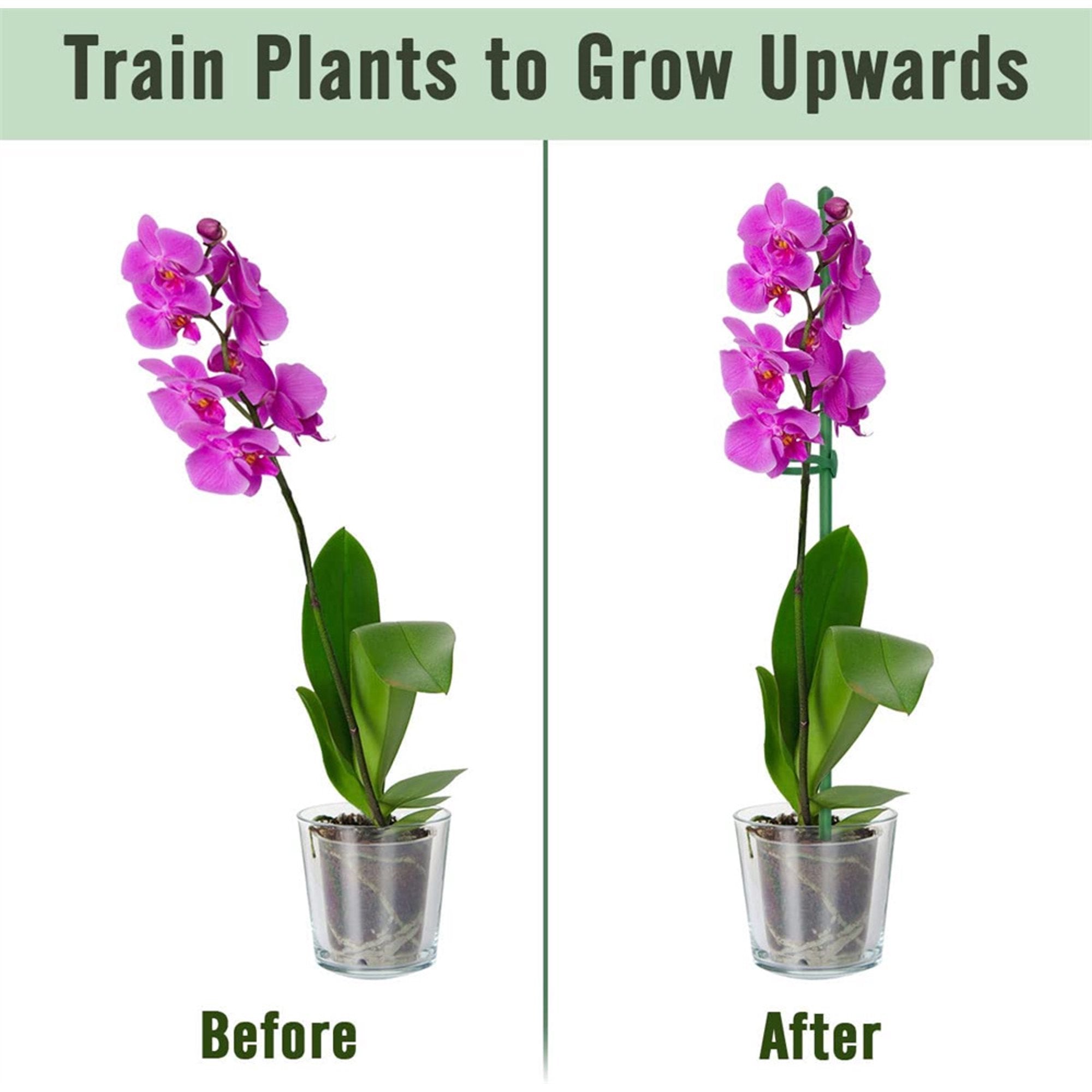 PlantSupport - Podpora Růstu Rostlin