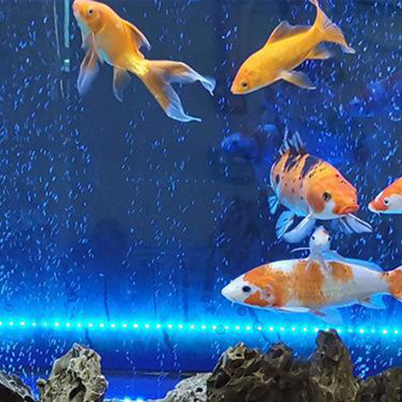 Ledsen™ GlowBubble: LED Akvarijní Barevné Svítící Bublinkové Světlo